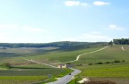 Scenic road at Champagne region